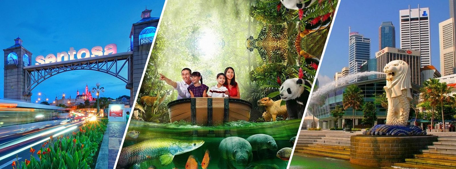 Memorable Trip