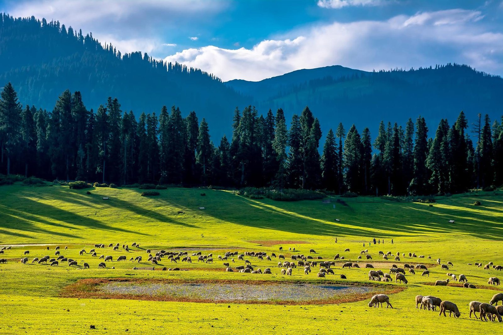 Kashmir 5N 6D